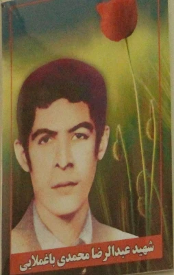 دیدار ستاد شاهد و ایثارگر دانشگاه فرهنگیان استان بوشهر با خانواده شهید محمدی باغملایی 3