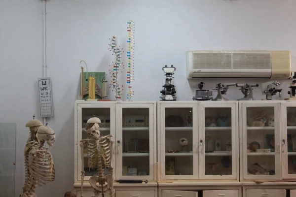 اقدامات انجام شده در حوزه رفاهی و آموزشی در زمینه بهسازی و تجهیز اماکن پردیس علامه طباطبایی بوشهر 13