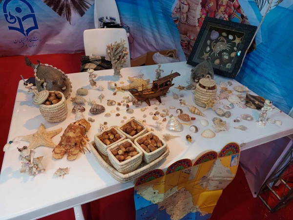 در نخستین جشنواره اقوام دانشگاه فرهنگیان؛
دانشگاه فرهنگیان استان بوشهر برتر شد 3