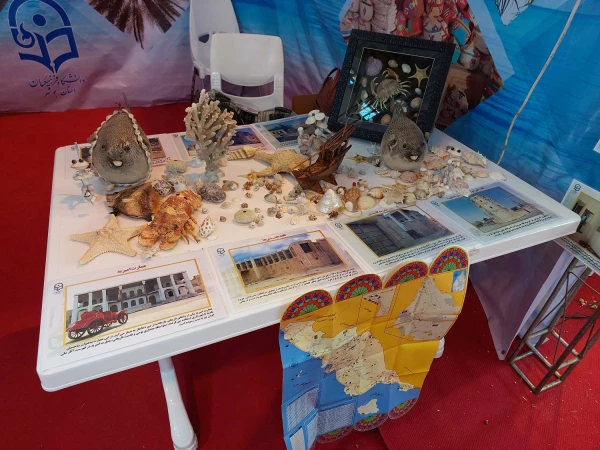 در نخستین جشنواره اقوام دانشگاه فرهنگیان؛
دانشگاه فرهنگیان استان بوشهر برتر شد 5