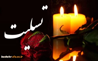 دکتر مجید رستمی به سوگ برادر خود نشست 