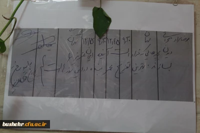 در دانشگاه فرهنگیان استان بوشهر؛
نمایشگاه عکس زیست دانشجویی برپا شد