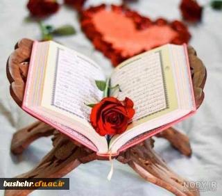 بیانیه دانشگاه فرهنگیان استان بوشهر در محکومیت قرآن سوزی در سوئد