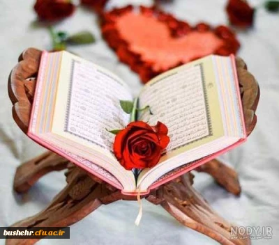 بیانیه دانشگاه فرهنگیان استان بوشهر در محکومیت قرآن سوزی در سوئد