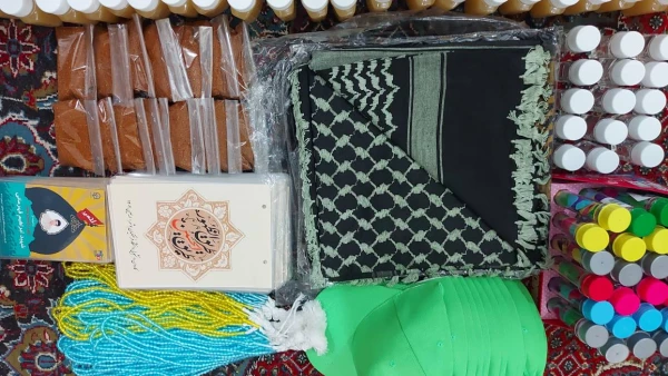 همزمان با هفته دولت و با حضور مسئولان دانشگاه؛
کاروان اربعین حسینی دانشگاه فرهنگیان استان بوشهر بدرقه شد 14