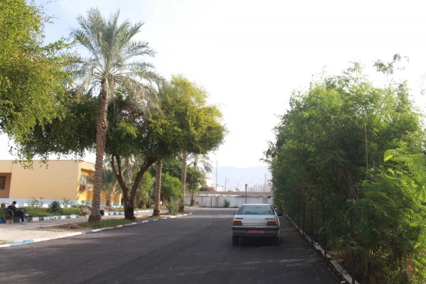 با حضور رئیس دانشگاه فرهنگیان استان بوشهر و مسئولان شهرستان دشتستان؛
آئین بزرگداشت روز دانشجو در مرکز شهید رجایی برازجان برگزار شد 6