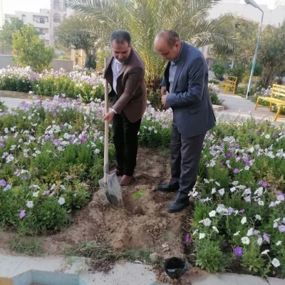 به مناسبت روز درختکاری؛
چندین اصله نهال در پردیس های دانشگاه فرهنگیان استان بوشهر غرس شد 2