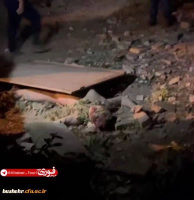 پیام دانشگاهیان دانشگاه فرهنگیان استان بوشهر در واکنش به تجاوز اخیر رژیم صهیونیستی به کشورمان و شهادت جمعی از فرماندهان، دانشمندان هسته ای و مردم